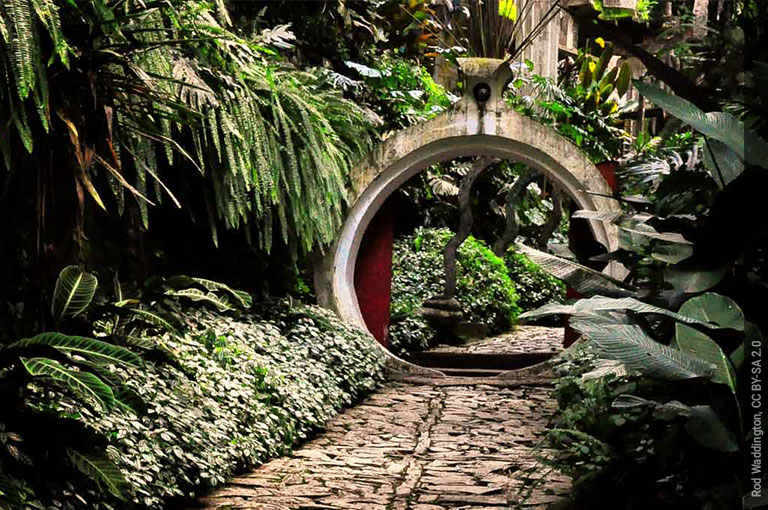 Las Pozas, jardín escultórico Edward James