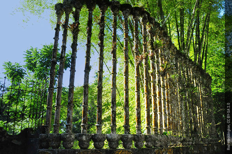 Las Pozas, jardín escultórico Edward James